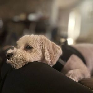 Meet your Posher, Mariam